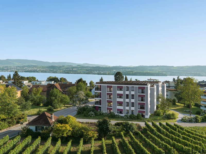 Am Rebberg