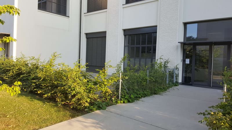 A vendre : Exceptionnel LOFT/Duplex de 365m2 aux Charmilles (18)