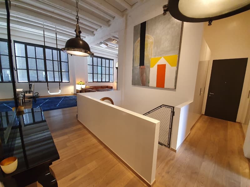 A vendre : Exceptionnel LOFT/Duplex de 365m2 aux Charmilles (5)