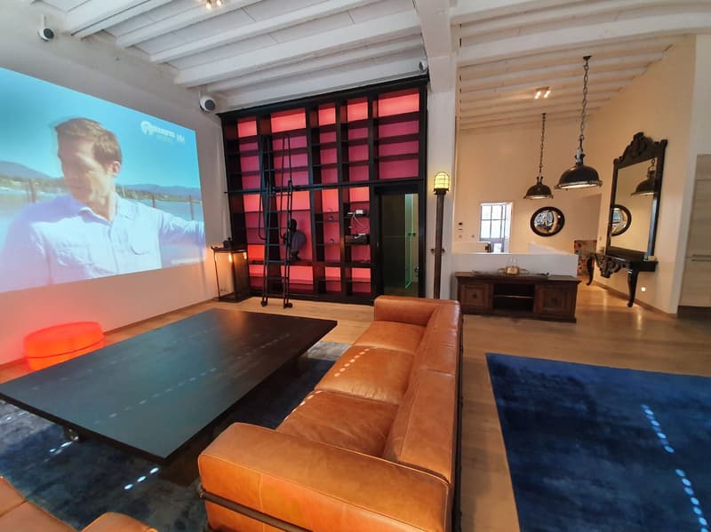A vendre : Exceptionnel LOFT/Duplex de 365m2 aux Charmilles (2)