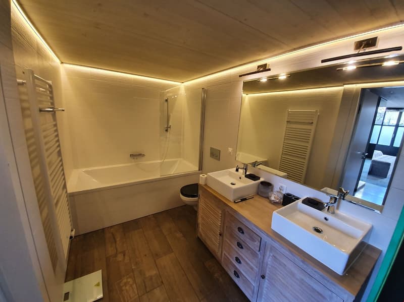 A vendre : Exceptionnel LOFT/Duplex de 365m2 aux Charmilles (16)