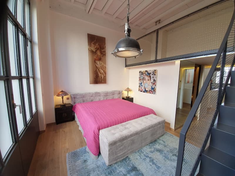 A vendre : Exceptionnel LOFT/Duplex de 365m2 aux Charmilles (8)
