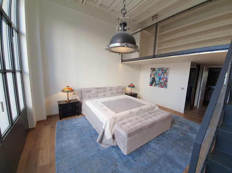 A vendre : Exceptionnel LOFT/Duplex de 365m2 aux Charmilles (6)