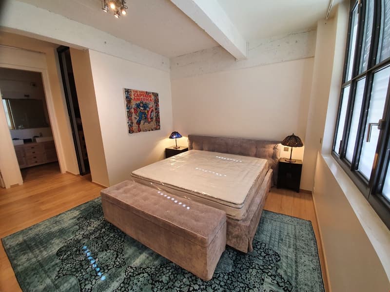 A vendre : Exceptionnel LOFT/Duplex de 365m2 aux Charmilles (9)
