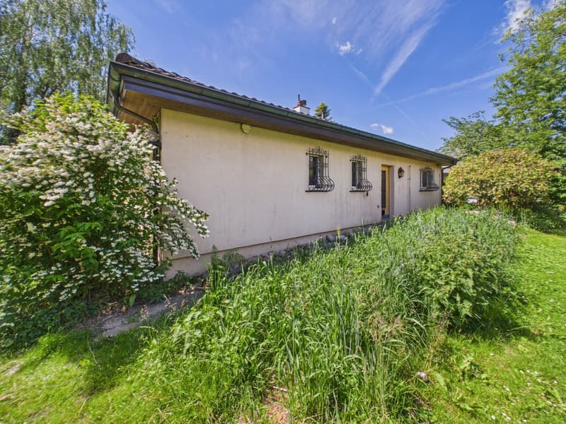 Freistehendes Einfamilienhaus mit Charme, Ruhe und attraktivem Entwicklungspotenzial (4)