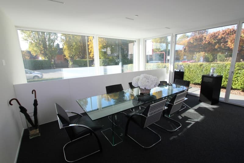 Büro/Atelier/Praxis im EG und Sous-Sol nahe See und S-Bahnhof (3)