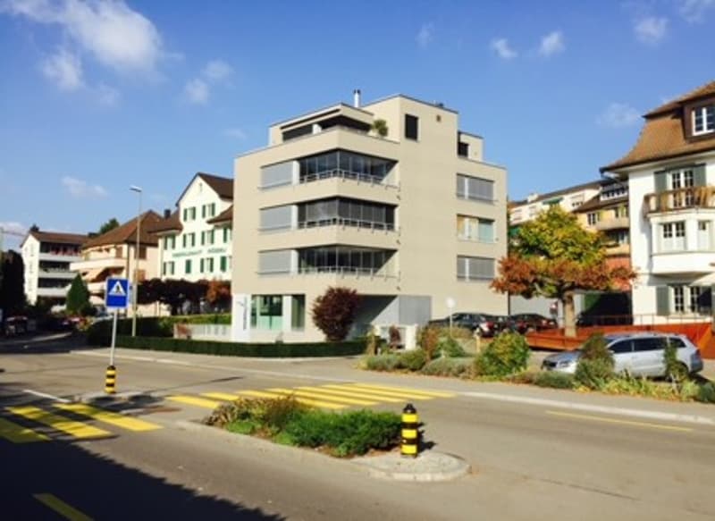 Büro/Atelier/Praxis im EG und Sous-Sol nahe See und S-Bahnhof (1)