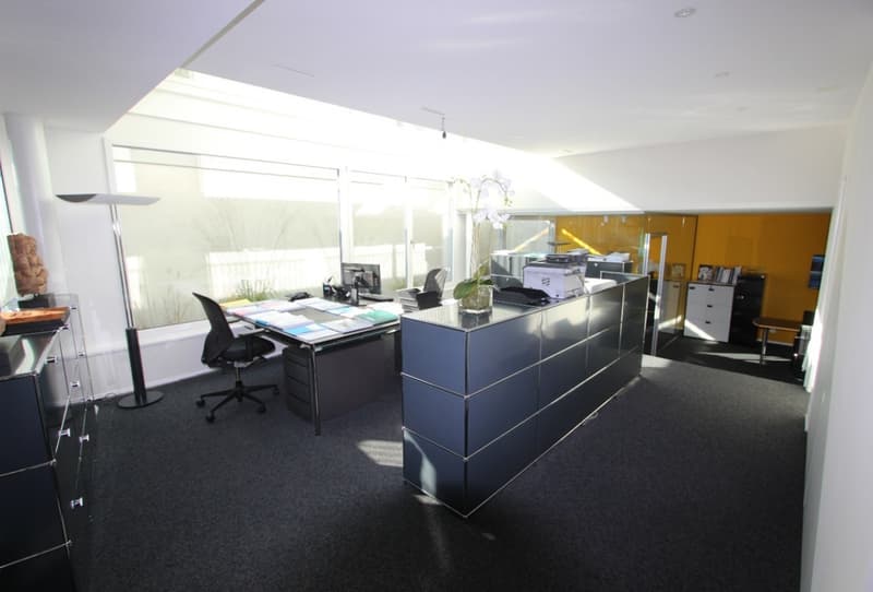 Büro/Atelier/Praxis im EG und Sous-Sol nahe See und S-Bahnhof (7)