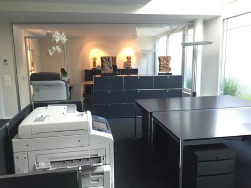 Büro/Atelier/Praxis im EG und Sous-Sol nahe See und S-Bahnhof (6)