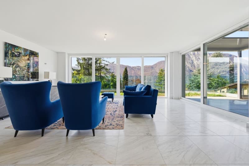 Résidence Ceresio 52 : appartement avec vue sur le lac et jardin (2)