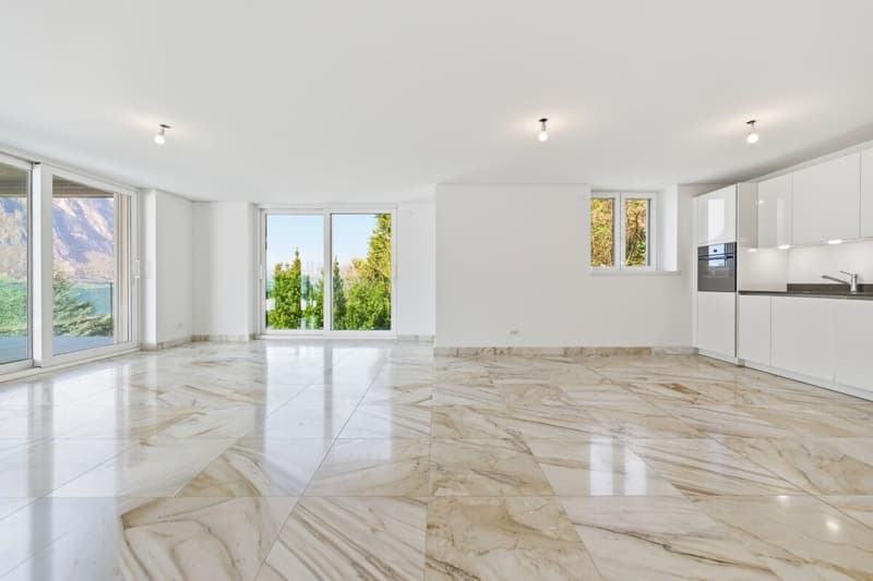 Residenza Ceresio 52: penthouse with a large panoramic terrace (5)