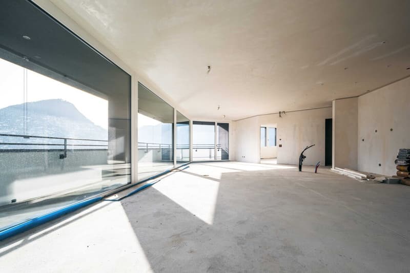 Appartement attique spacieux avec vue spectaculaire sur le lac (2)
