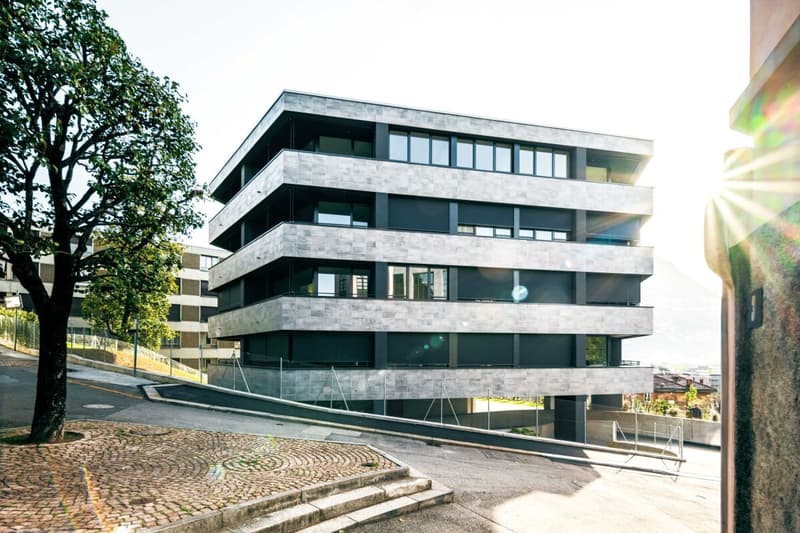 Appartement attique spacieux avec vue spectaculaire sur le lac (6)