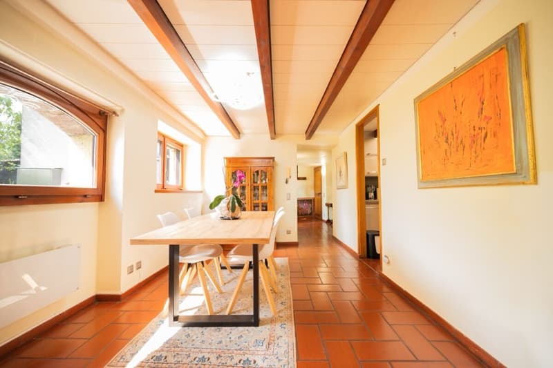 Graziosa casa di nucleo con giardino a Origlio (3)