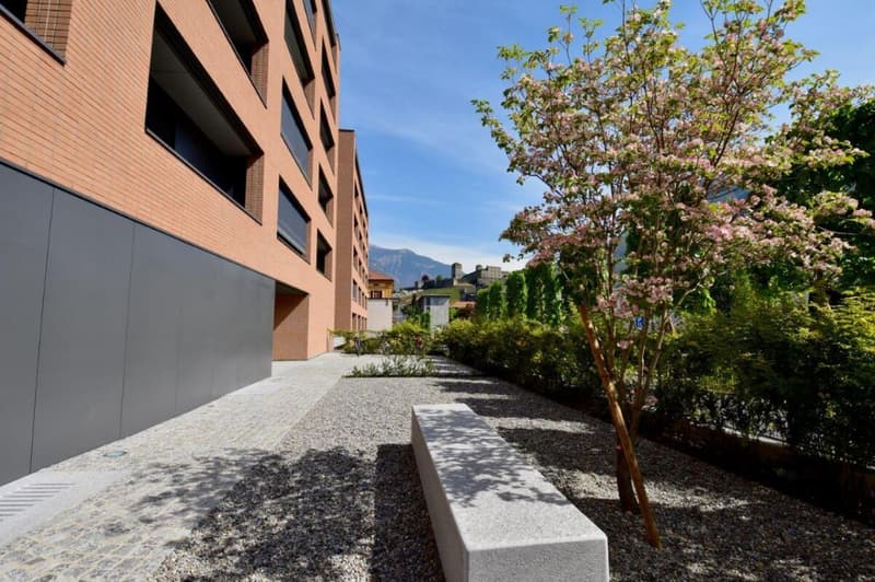 Nuovi appartamenti con giardino nel centro città (8)