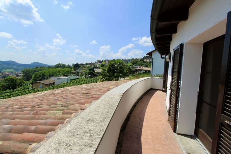 Bella villa con giardino e vista aperta sui vigneti (18)