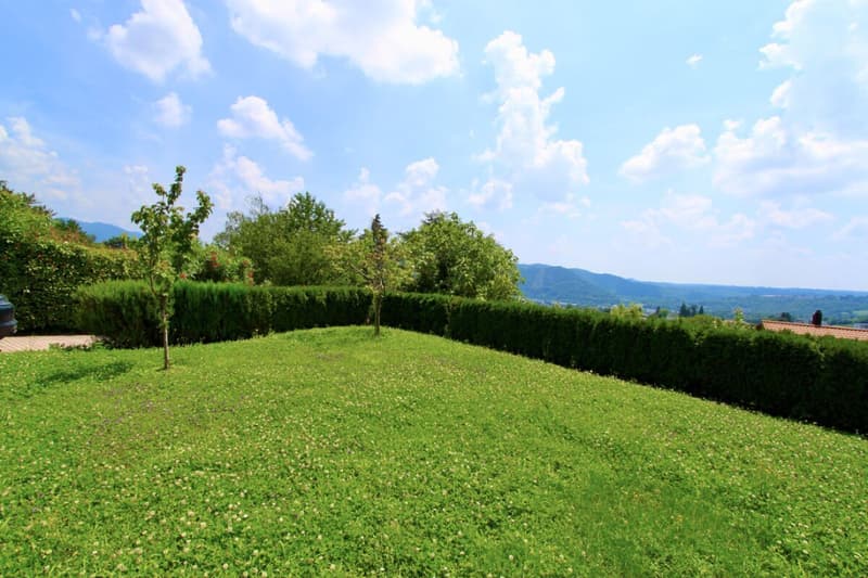 Bella villa con giardino e vista aperta sui vigneti (11)