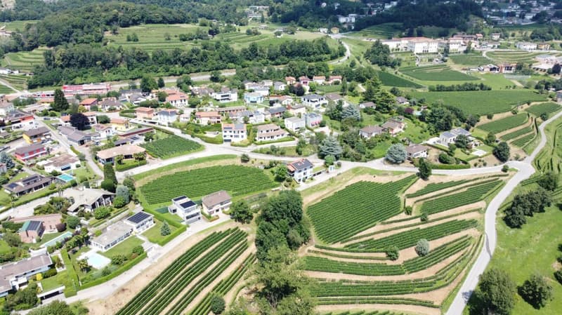 Bella villa con giardino e vista aperta sui vigneti (19)