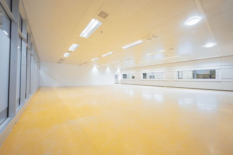 Flexible, grosszügige Gewerbeflächen (4)