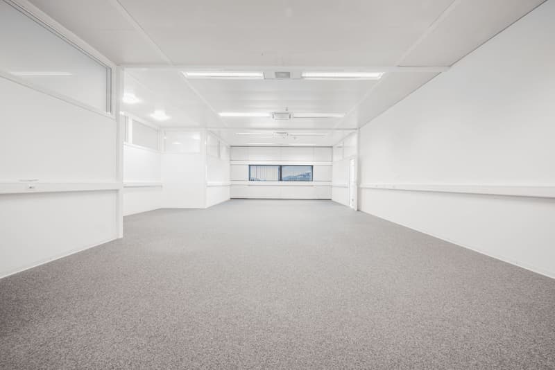 Flexible, grosszügige Gewerbeflächen (8)