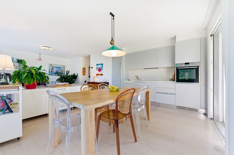 Modern and welcoming with a spacious private garden. (4)