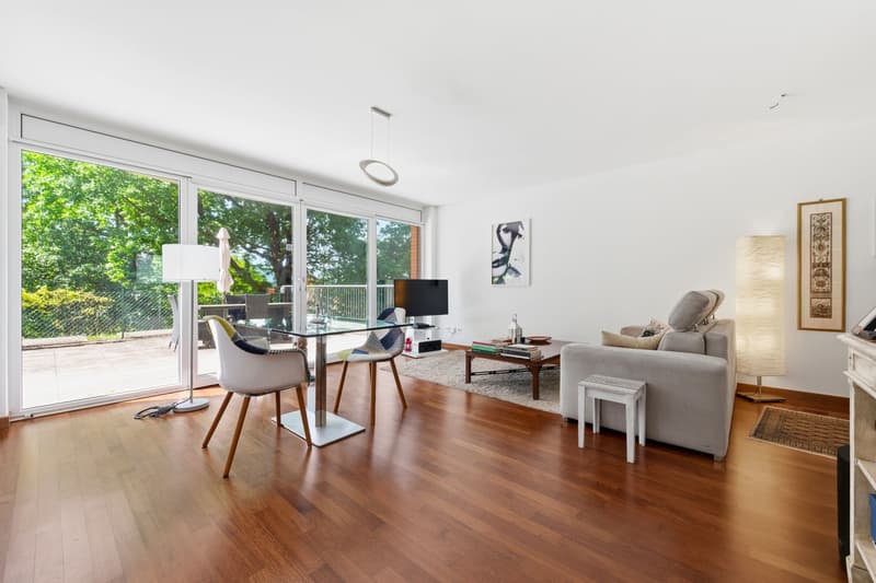 Contemporary living with spacious terrace in a green setting (4)