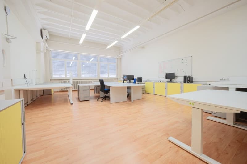 Espace commercial modulaire et divisible spacieux (14)