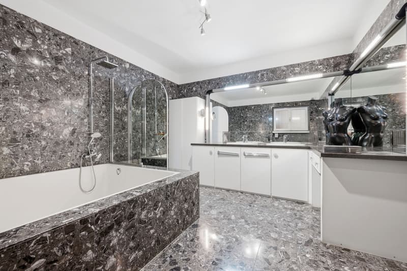 Bella e spaziosa con grande giardino privato (13)