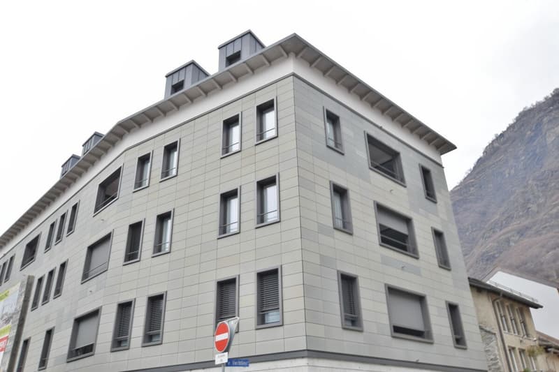 Prestigöse 3,5-Zimmer-Attikawohnung (1)