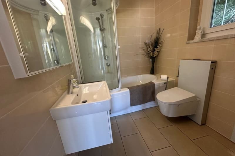 Appartamento ammobiliato 2.5 locali con splendida vista lago (5)