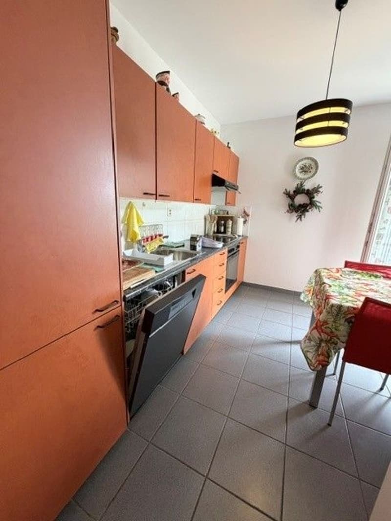 Affittasi appartamento 4.5 locali con vista lago (4)