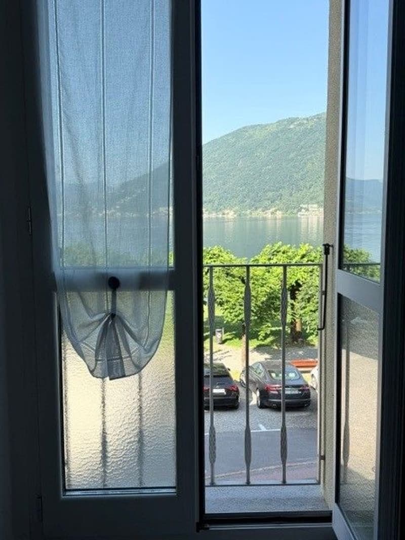 Appartamento di charme 2.5 locali vista lago e aria condizionata (3)