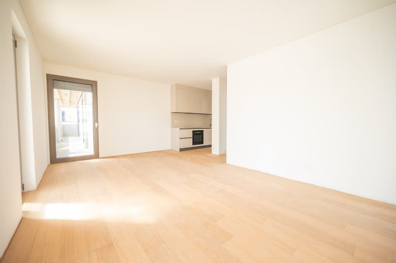 Affittasi appartamento 2.5 locali con balcone e raffrescamento (1)