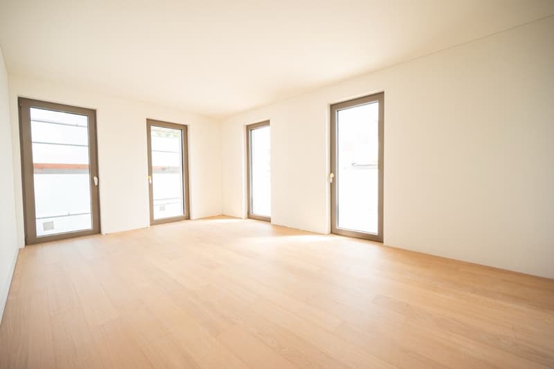Affittasi appartamento 2.5 locali con balcone e raffrescamento (2)
