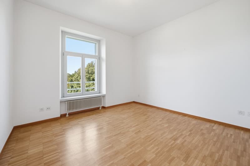 Affittasi incantevole duplex in villa storica a Tesserete (14)