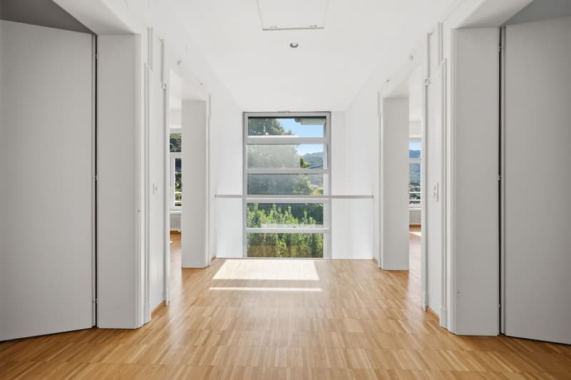 Affittasi incantevole duplex in villa storica a Tesserete (11)