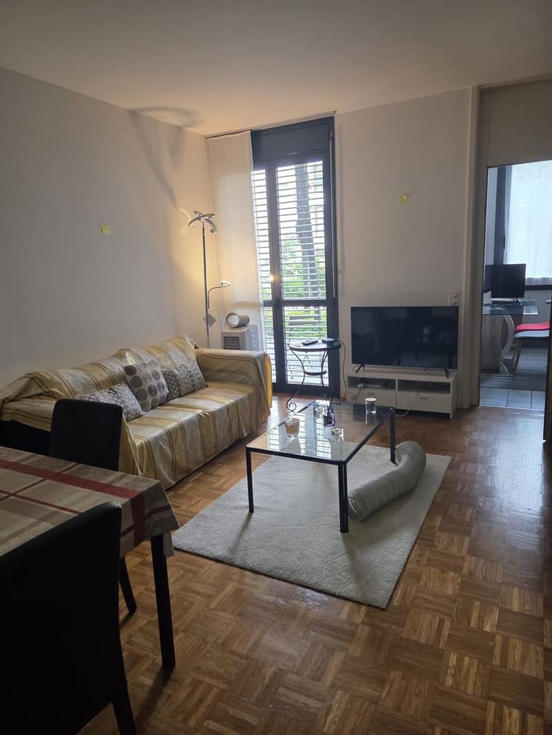 Möblierte 2.5-Zimmer-Wohnung mit kleinem Patio (1)