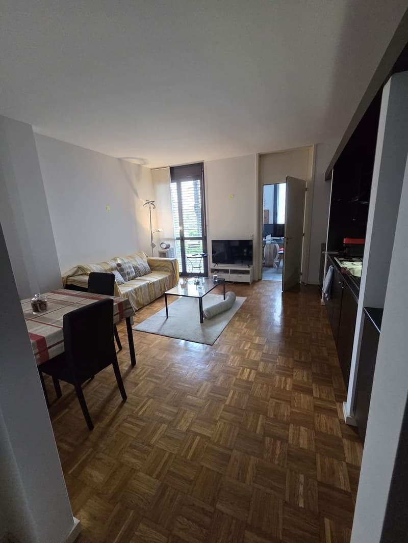 Möblierte 2.5-Zimmer-Wohnung mit kleinem Patio (2)
