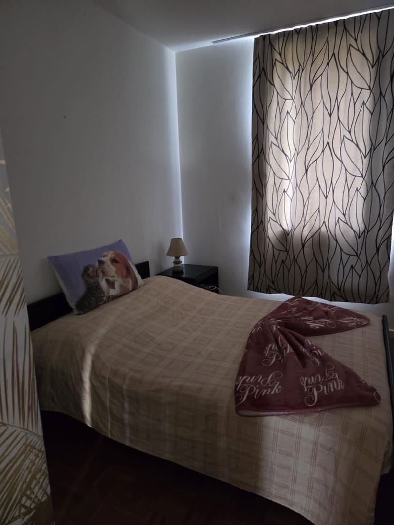 Möblierte 2.5-Zimmer-Wohnung mit kleinem Patio (5)