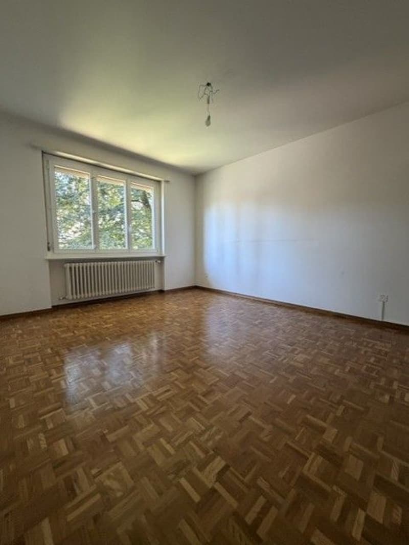 Massagno – 3,5-Zimmer-Wohnung zu vermieten (4)