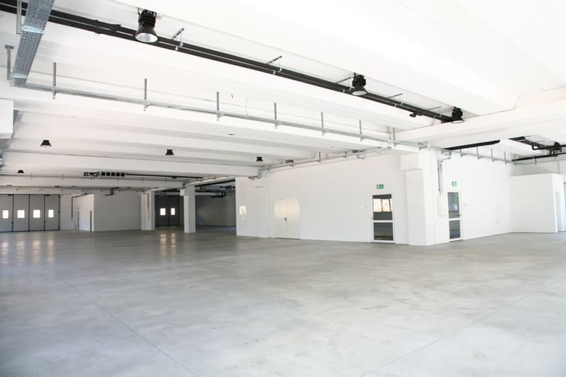 Gewerbeflächen zu vermieten (5)