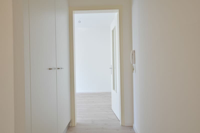 Bright renovated 2.5-room apartment for rent (6)