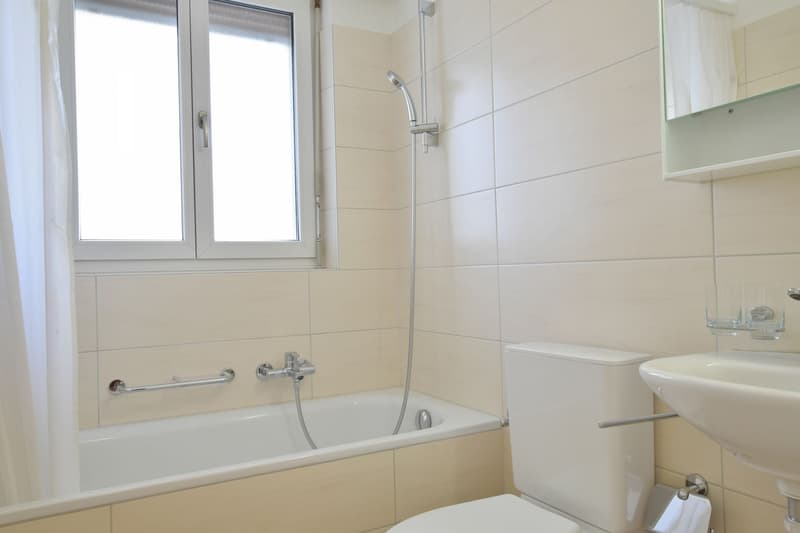 Bright renovated 2.5-room apartment for rent (5)