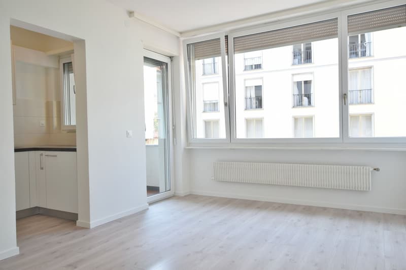 Bright renovated 2.5-room apartment for rent (2)