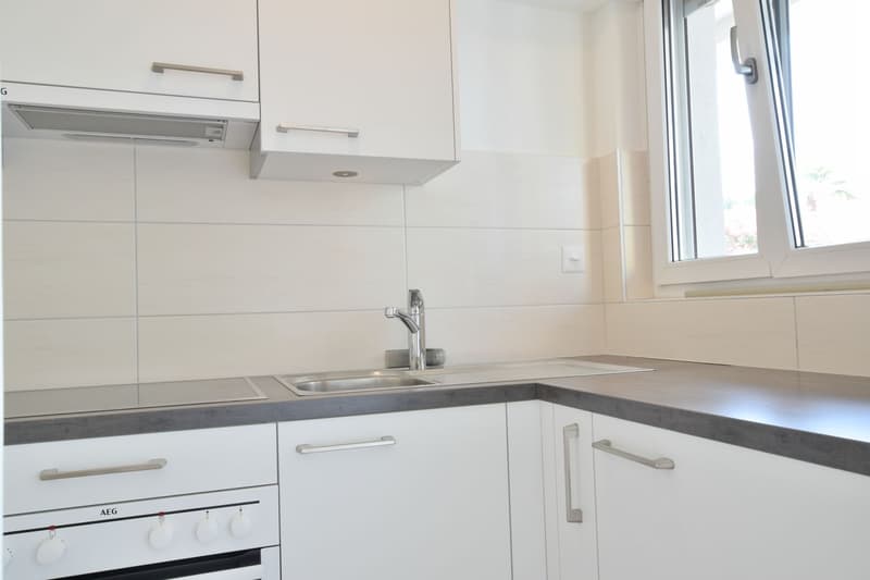Bright renovated 2.5-room apartment for rent (3)