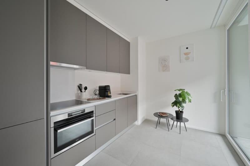 Bright, fully furnished studio apartments (3)