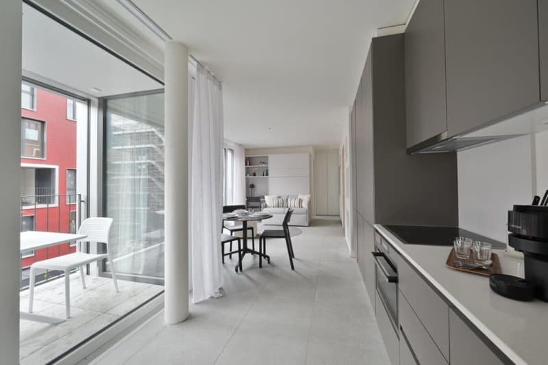 Bright, fully furnished studio apartments (2)