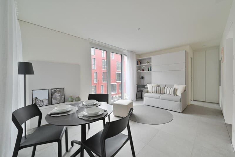 Bright, fully furnished studio apartments (5)