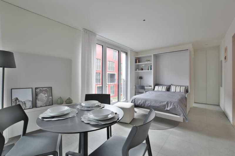 Bright, fully furnished studio apartments (4)