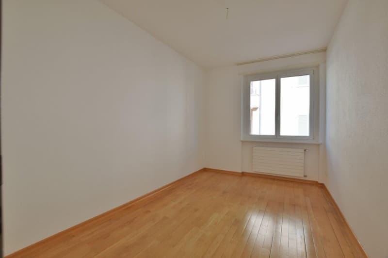 3-room apartment in the municipality of Bellinzona. (3)